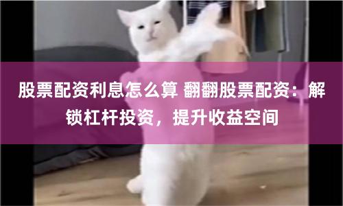 杠杆与风险博弈下的股指配资：开户策略与市场生态全景透视