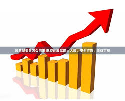 成都配资江湖指南：如何慧眼识金选对合作方？